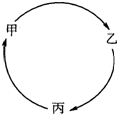 魔方格