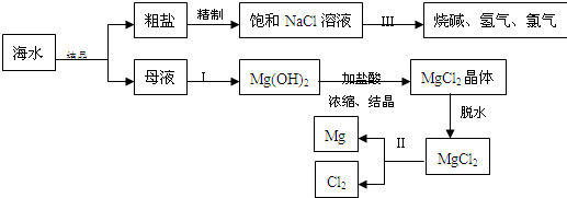 魔方格