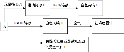 魔方格
