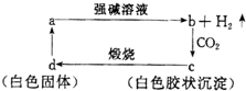 魔方格