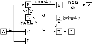 魔方格