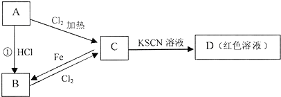 魔方格
