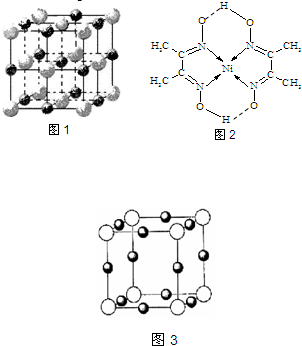 魔方格