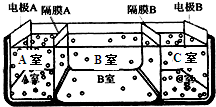 魔方格