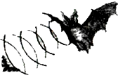 魔方格