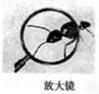 魔方格
