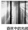 魔方格
