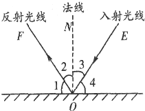 魔方格