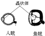 魔方格