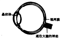 魔方格