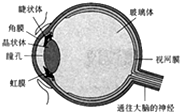 魔方格