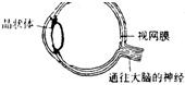 魔方格