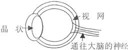 魔方格