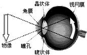 魔方格