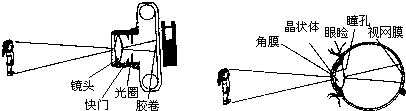 魔方格