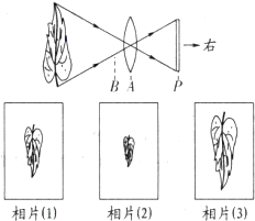魔方格