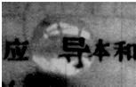 魔方格