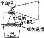 魔方格