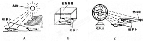 魔方格