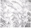 魔方格