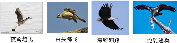 魔方格