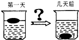 魔方格