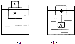 魔方格