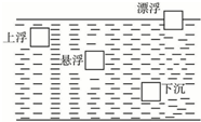 魔方格