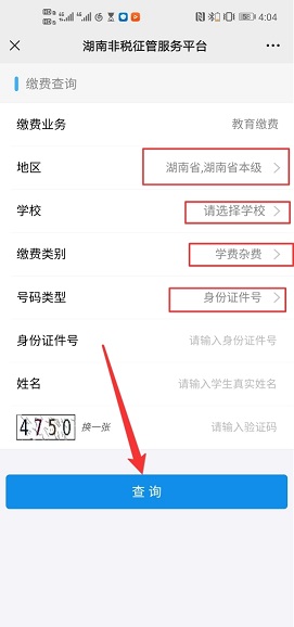 湖南非税征管服务平台
