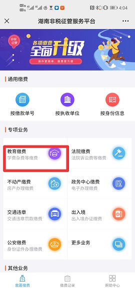 湖南非税征管服务平台